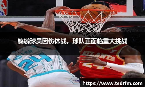 鹈鹕球员因伤休战，球队正面临重大挑战