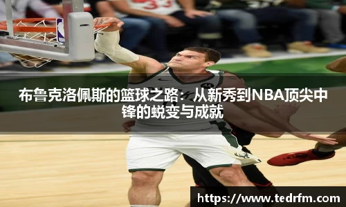 熊猫体育