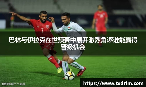 熊猫体育官网