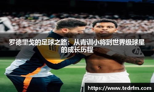 熊猫体育官网