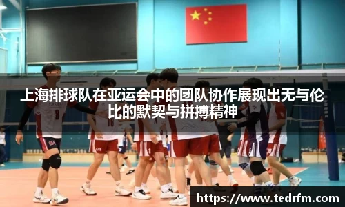 上海排球队在亚运会中的团队协作展现出无与伦比的默契与拼搏精神