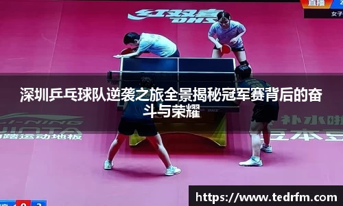 深圳乒乓球队逆袭之旅全景揭秘冠军赛背后的奋斗与荣耀