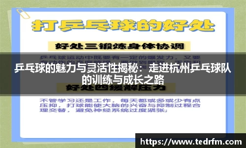 乒乓球的魅力与灵活性揭秘：走进杭州乒乓球队的训练与成长之路