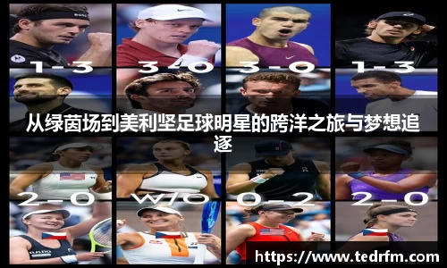 从绿茵场到美利坚足球明星的跨洋之旅与梦想追逐